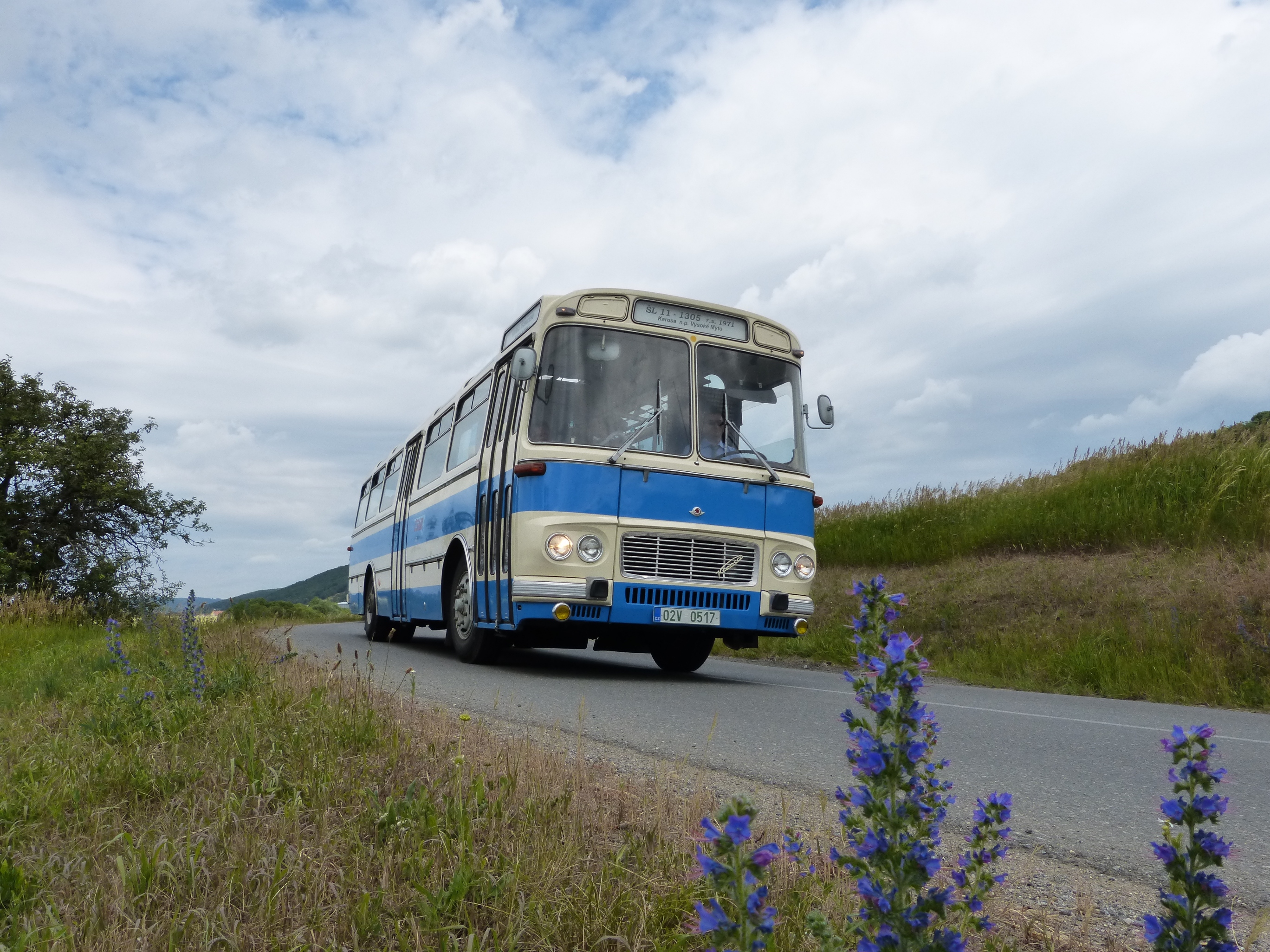 Bus.jpg